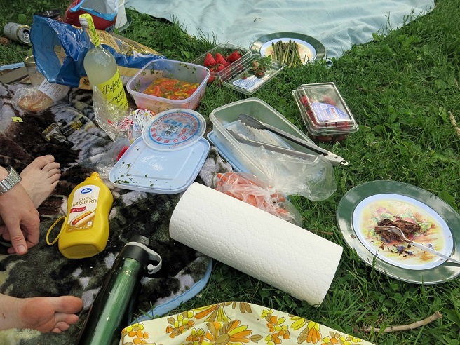 The disarray following a picnic on the park grass